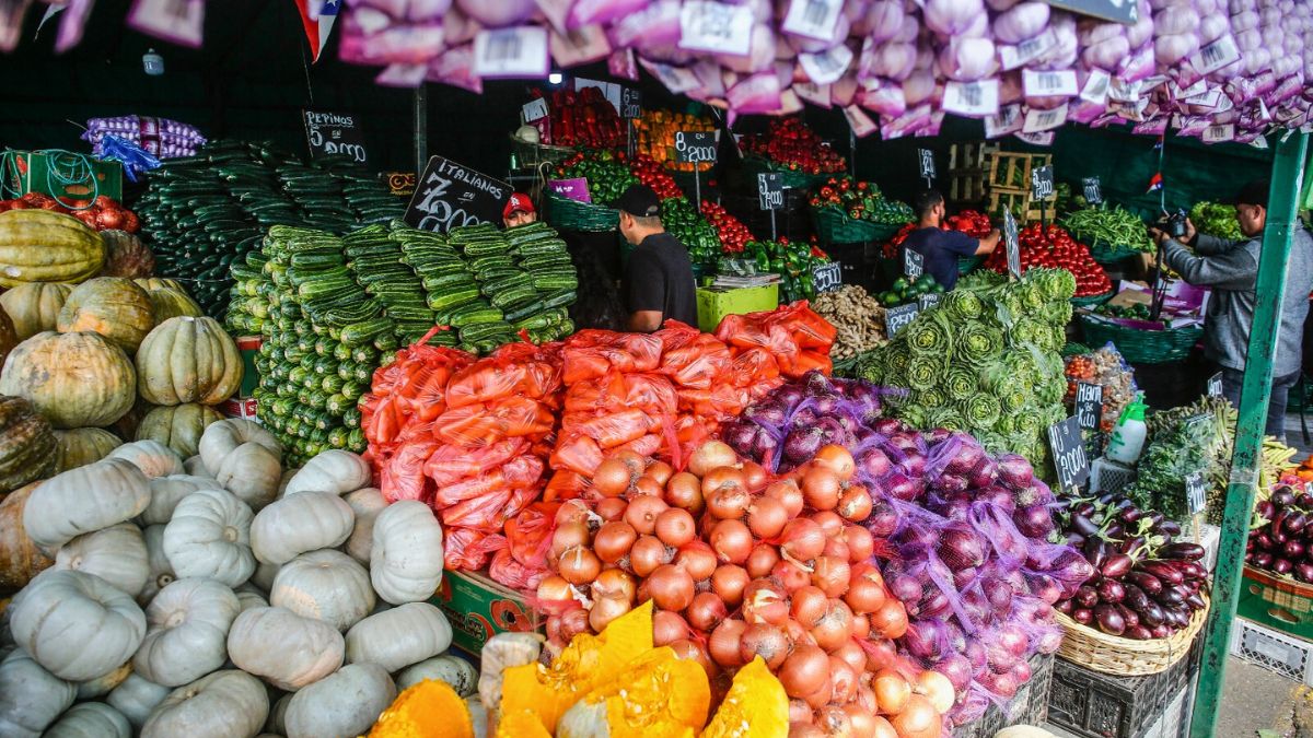 Contrabando agropecuario crece 974% en cinco años y abre riesgo de la mosca de la fruta en Chile