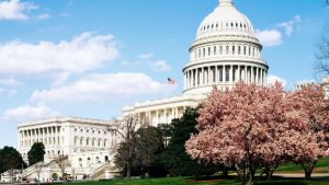 La campaña del Congreso de Estados Unidos por caso Epstein: Trump acusa 