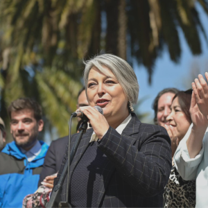 Jara desestima hablar de terrorismo en La Araucanía: 