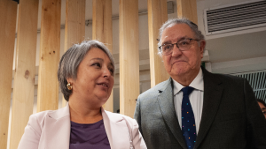 Sin apoyo de las bases y poca participación de alcaldes: el accidentado desembarco DC en campaña de Jara