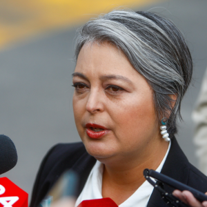 Reforma de seguridad: senadores republicanos reconocen que votarían en contra si la hubiese presentado Jara