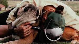 VIDEO - La sentida despedida de Lewis Hamilton a su bulldog Roscoe: 