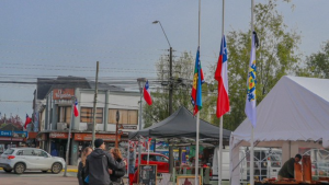 Hermanos electrocutados en Villarrica: alcalde decretó duelo comunal y suspendió desfile de Fiestas Patrias