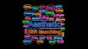 Diccionario de supervivencia para la segunda mitad del año