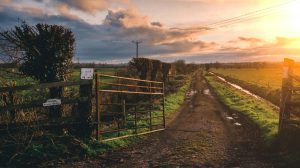 ¿Tienes entre 18 y 40 años? revisa cómo postular para comprar un terreno rural