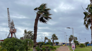 Con rachas de hasta 100 km/h: las seis regiones que tendrán fuertes vientos a partir de este lunes