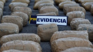 Dorothy Pérez alude a Bombo Fica para explicar irregularidades en destrucción de droga incautada