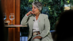 “No está escrito en piedra”: comando de Jara se abre a modificar nuevamente el programa tras reparos de la DC