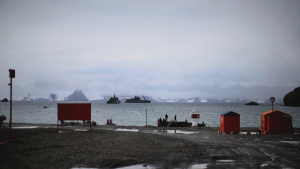 Sismo de 7,8° en Paso Drake: Senapred pide abandonar sector de playa en Antártica Chilena