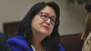 Permisología: los dimes y diretes entre Dorothy Pérez y el Consejo de Monumentos Nacionales
