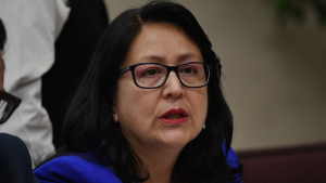 Presupuesto 2026: Dorothy Pérez pide $1.200 millones extra y más funcionarios para Contraloría