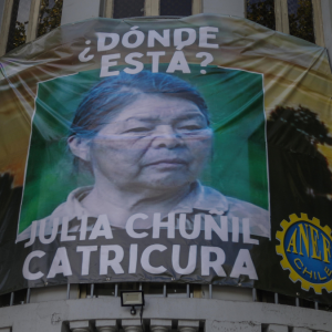 Caso Julia Chuñil: fiscal Valencia califica como 