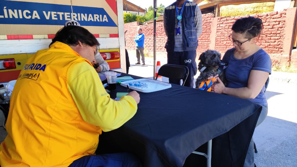 La Florida implementa atención a vecinos y mascotas previo a segunda etapa de desalojo de Toma Dignidad