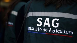 Fin del misterio: SAG aclara qué era la extraña criatura comparada con el chupacabras en Paillaco