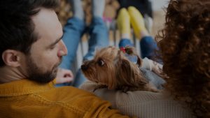 Tuición compartida de mascotas, el bienestar animal entra en la conversación