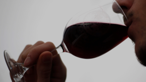 Cuánto vale el vino chileno que fue elegido como el mejor del mundo
