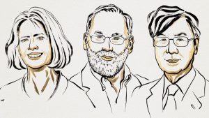 Premio Nobel de Medicina: los motivos por el que descubrimiento en sistema inmunológico fue elegido como el ganador