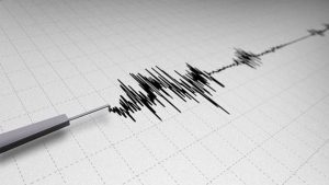Cuál fue la magnitud del sismo que se percibió en la zona centro y la Región Metropolitana