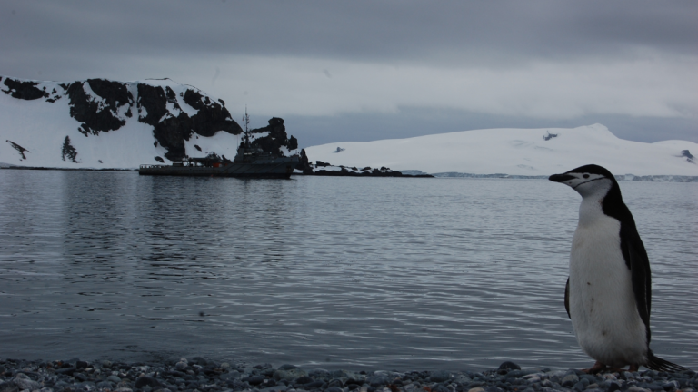 Científica francesa violada por chileno en la Antártica: 