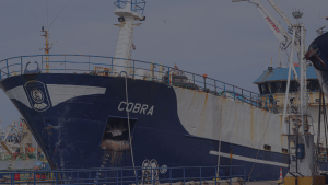 Caso Bruma: por qué las familias de los pescadores se oponen a mantención del Cobra