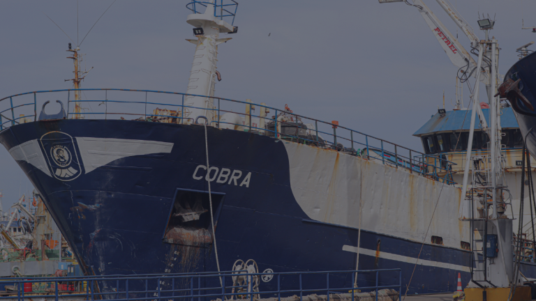 Caso Bruma: por qué las familias de los pescadores se oponen a mantención del Cobra