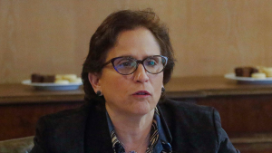 Leitao niega irregularidades tras querella de alcalde Concha y apunta: 