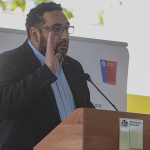 Cataldo defiende el FES: 