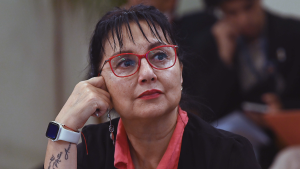 Los duros descargos de Carolina Marzán contra el PPD tras quedar al margen del Senado