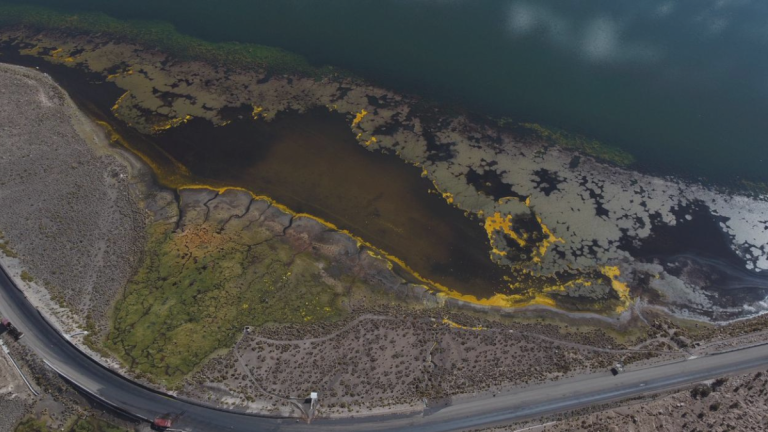 Emergencia ambiental en Lago Chungará tras vertimiento de 25 mil litros de aceite: Conaf activa plan de rescate de aves