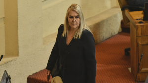 Pamela Jiles reitera que PDG votará nulo: 