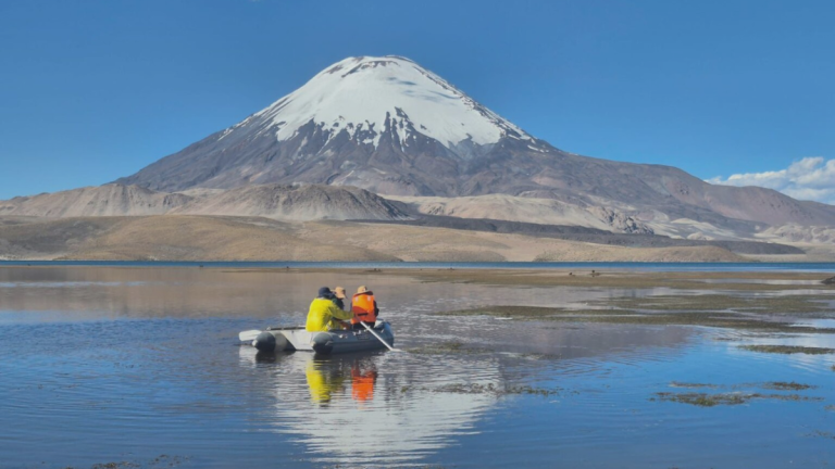 Desastre en Lago Chungará: Conaf lamenta muerte de fauna protegida tras derrame de aceite