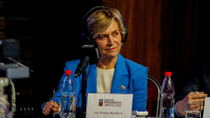 Evelyn Matthei insiste en sus críticas al Plan Nacional de Búsqueda: 