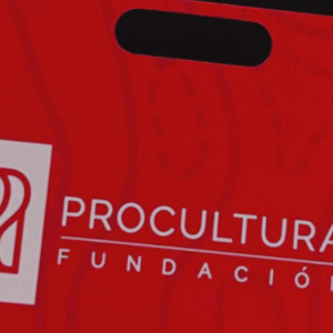 Por distracción indebida de fondos: CDE amplió querella contra Alberto Larraín en arista ProCultura