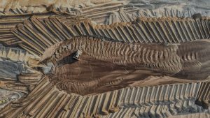 Construir una cultura de eficiencia hídrica en la minería