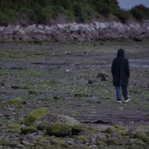 Residencia en danza contemporánea reflexiona en torno a las relaciones sensibles con la noción de ambiente