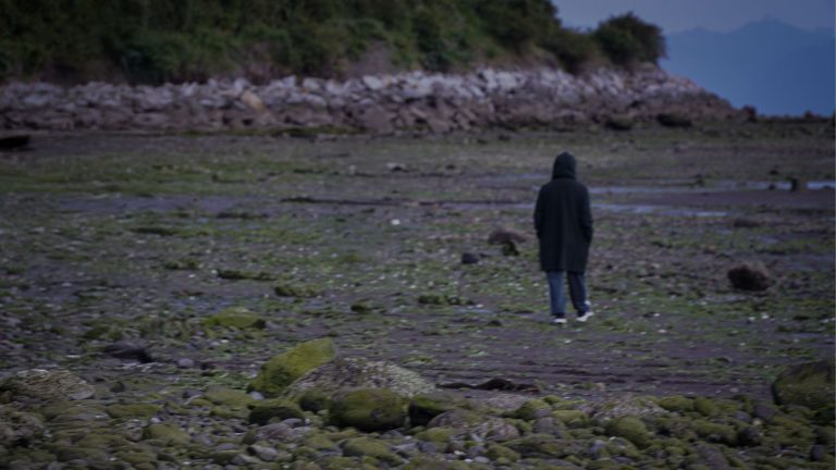 Residencia en danza contemporánea reflexiona en torno a las relaciones sensibles con la noción de ambiente