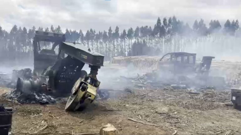 Gobierno anuncia comité para reforzar seguridad en La Araucanía tras nuevo ataque incendiario: cuatro incidentes en solo tres días