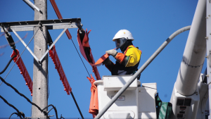 MAPAS - Hasta seis horas sin electricidad: las comunas que se verán afectadas por cortes de luz este viernes 14 de noviembre