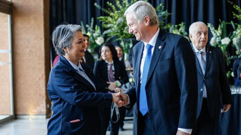 Panel Ciudadano UDD: Kast vencería a Jara en segunda vuelta con más del 60% de los votos