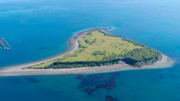 Más de 30 hectáreas, faro y acantilados: conoce la isla de Chiloé que se vende por $1.800 millones