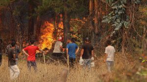 En qué consiste el Plan de Acción 2025-2026 que busca prevenir y controlar incendios forestales