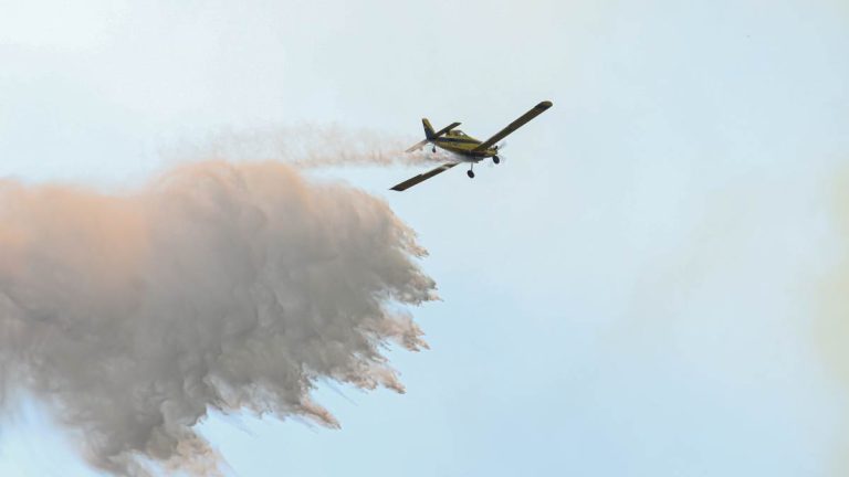 VIDEO - Alerta roja en Pichidegua por incendio forestal: Senapred pide evacuar sectores poblados