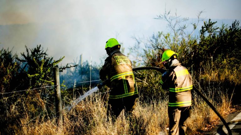 Incendio forestal en La Serena pone en riesgo viviendas: evacúan sector residencial
