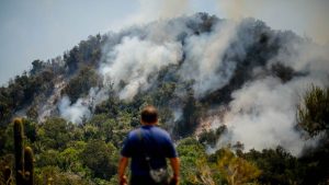Región del Maule en alerta roja por incendio forestal cercano a zonas pobladas