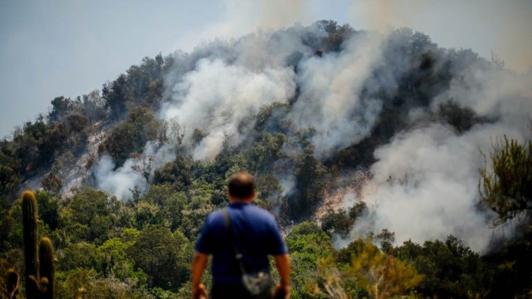 Región del Maule en alerta roja por incendio forestal cercano a zonas pobladas