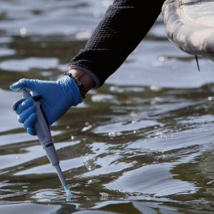 Tragedia en Lago Vichuquén: la toxina que está provocando una crisis ambiental en la Región del Maule