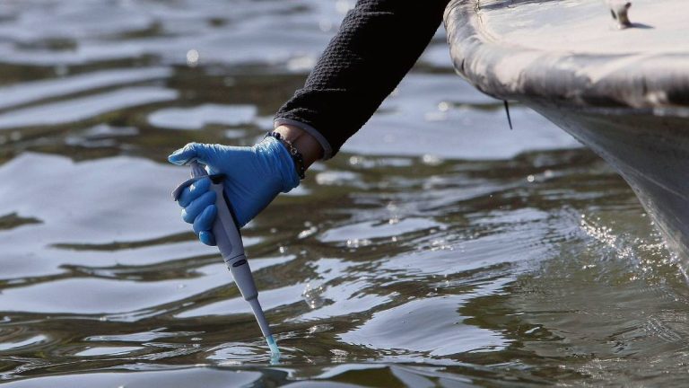Tragedia en Lago Vichuquén: la toxina que está provocando una crisis ambiental en la Región del Maule