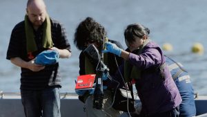 Alerta en Vichuquén: cierran el lago por presencia de peligrosa bacteria y fiscalía abre investigación penal