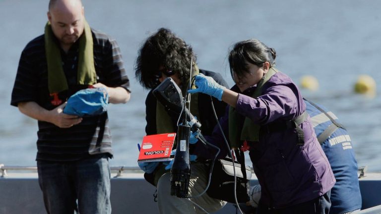 Problemas hepáticos, dermatitis y animales muertos: hasta cuándo estará cerrado el lago Vichuquén por toxicidad