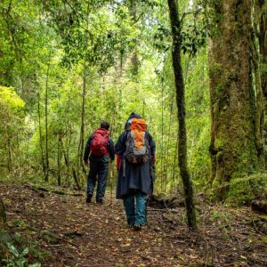 Por séptima vez: Chile gana premio a Mejor Destino de Turismo Aventura de los World Travel Awards 2025